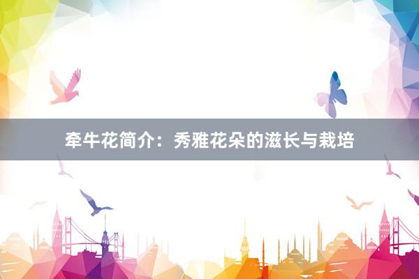 牵牛花简介：秀雅花朵的滋长与栽培