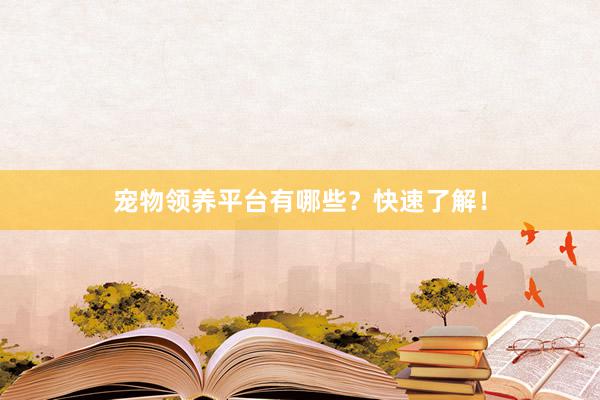 宠物领养平台有哪些?快速了解!